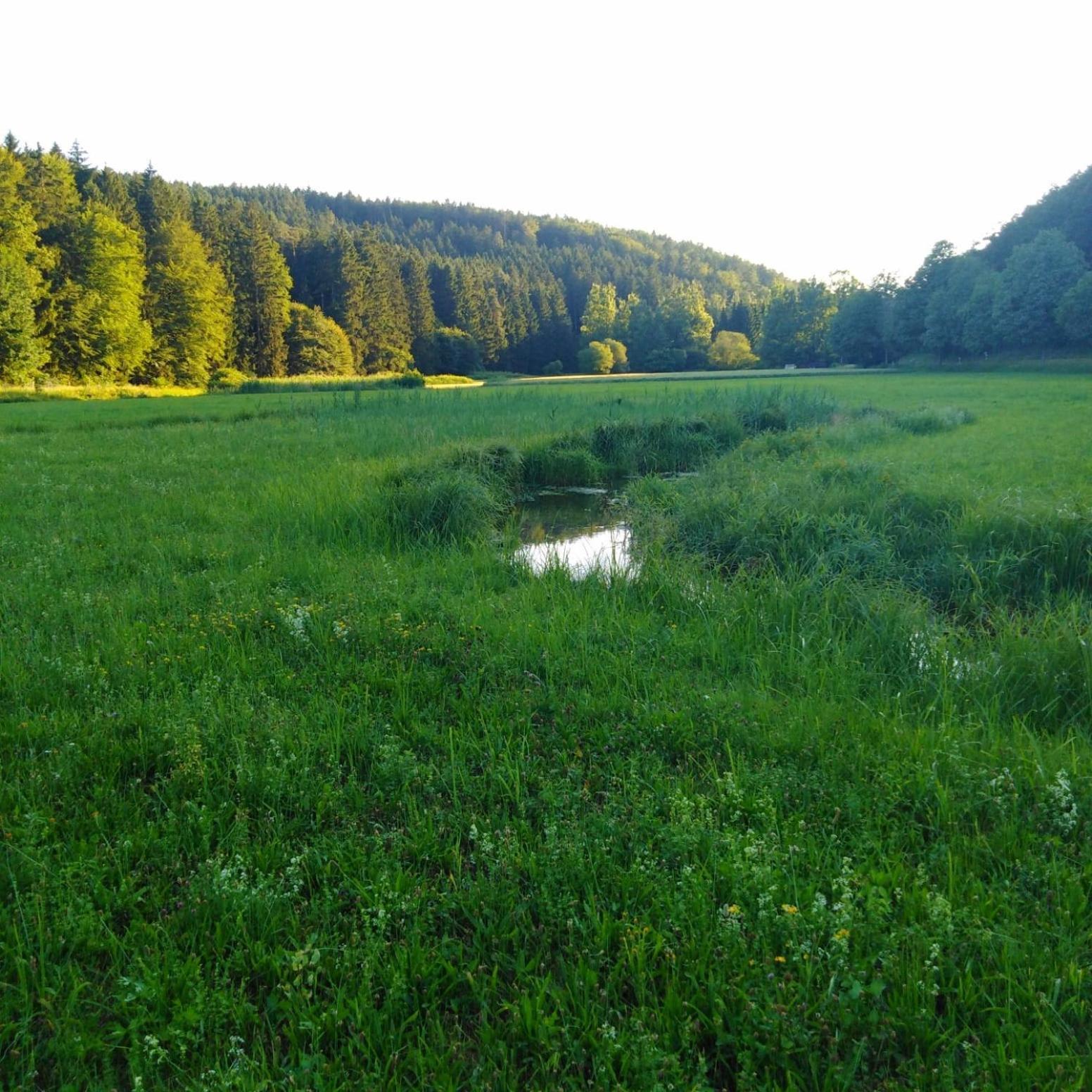Ferienhaus Am Bach Mit Grossem Garten Deuerling 외부 사진
